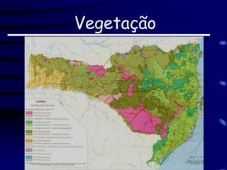 Vegetação
 