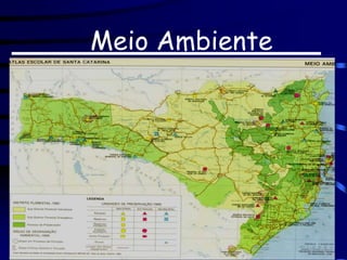 Meio Ambiente
 