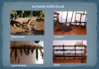 CARRO DE BOIS
ALFAIAIS AGRÍCOLAS
CHARRUA
CANGA DE BOIS GRADE
 