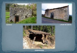 AZENHA LAGAR DE AZEITE
FERRADORIA
 