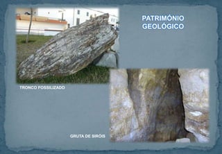 GRUTA DE SIRÓIS
TRONCO FOSSILIZADO
PATRIMÓNIO
GEOLÓGICO
 