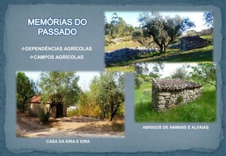 DEPENDÊNCIAS AGRÍCOLAS
CAMPOS AGRÍCOLAS
CASA DA EIRA E EIRA
ABRIGOS DE ANIMAIS E ALFAIAS
 
