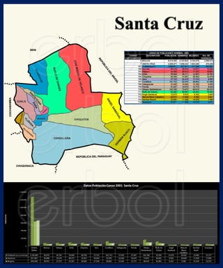 Santa cruz censo2001
