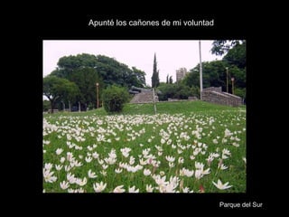 Apunté los cañones de mi voluntad Parque del Sur 
