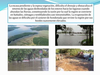 La escasa pendiente y la espesa vegetación, dificulta el drenaje y obstaculiza el
retorno de las aguas desbordadas de los esteros hacia las lagunas cuando
abundan las lluvias, constituyendo la razón por la cual la región se convierte
en bañados, ciénagas y tembladerales casi intransitables. La evaporación de
las aguas se dificulta por el carácter de hondonada que reviste la región por sus
bordes suavemente elevados.
 