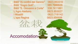 Accomodation
 B&B “Ai confini del Sannio” 0823.953310
 B&B “Sogni Goti” 389.7986626
 B&B “S. Giovanni a Corte” 338.7411891
 L’Agro Atellano 0823.953027
 I Mustilli 0823.718142
 L’ape Regina 0823.956698
 