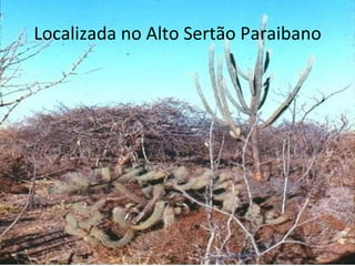 Localizada no Alto Sertão Paraibano 