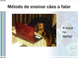 Método de ensinar cães a falar
A cuca
no
laptop
 