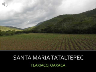 SANTA MARIA TATALTEPEC
TLAXIACO, OAXACA

 