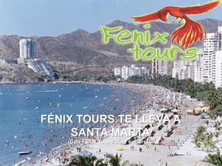 Fénix Tours te lleva a santa marta ¡Con Fénix Tours viaje seguro! 