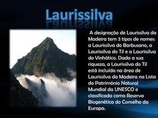 LaurissilvaA designação de Laurissilva da Madeira tem 3 tipos de nomes: a Laurissilva do Barbusano, a Laurissilva do Til e a Laurissilva do Vinhático. Dada a sua riqueza, a Laurissilva do Til está incluída na área de Laurissilva da Madeira na Lista do Património Natural Mundial da UNESCO e classificada como Reserva Biogenética do Conselho da Europa. 