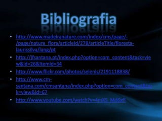 Bibliografiahttp://www.madeiranature.com/index/cms/page/-/page/nature_flora/articleId/278/articleTitle/floresta-laurissilva/lang/pthttp://jfsantana.pt/index.php?option=com_content&task=view&id=26&Itemid=34http://www.flickr.com/photos/selenis/2191118838/http://www.cm-santana.com/cmsantana/index.php?option=com_content&task=view&id=67http://www.youtube.com/watch?v=4mXS_Md6xfI