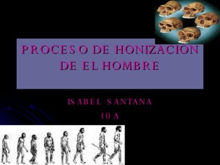 PROCESO DE HONIZACION DE EL HOMBRE ISABEL  SANTANA 10 A 