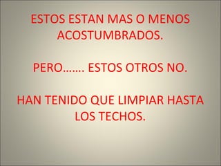 ESTOS ESTAN MAS O MENOS
ACOSTUMBRADOS.
PERO……. ESTOS OTROS NO.
HAN TENIDO QUE LIMPIAR HASTA
LOS TECHOS.
