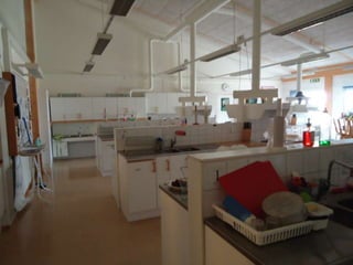 Riqueza y multimodalidad de estímulos.