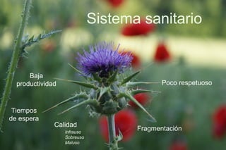 Sistema sanitario Fragmentación Tiempos de espera Poco respetuoso Baja productividad Calidad Infrauso Sobreuso Maluso 