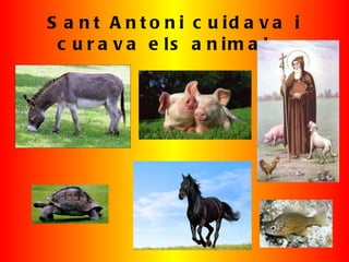 Sant Antoni cuidava i curava els animals. 