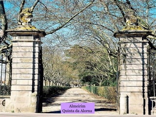 Quinta da Alorna
Almeirim
Quinta da Alorna
 