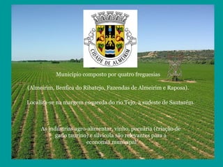 Município composto por quatro freguesias
(Almeirim, Benfica do Ribatejo, Fazendas de Almeirim e Raposa).
Localiza-se na margem esquerda do rio Tejo, a sudeste de Santarém.
As indústrias agro-alimentar, vinho, pecuária (criação de
gado taurino) e silvícola são relevantes para a
economia municipal
 