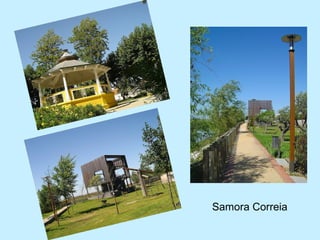 Samora Correia
 