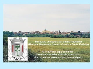 Município composto por quatro freguesias
(Barrosa, Benavente, Samora Correia e Santo Estêvão).
As indústrias agro-alimentar
(extensos arrozais), silvícola e pecuária
são relevantes para a economia municipal.
 