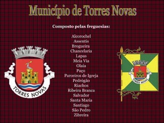 Composto pelas freguesias:
Alcorochel
Assentis
Brogueira
Chancelaria
Lapas
Meia Via
Olaia
Paço
Parceiros de Igreja
Pedrógão
Riachos
Ribeira Branca
Salvador
Santa Maria
Santiago
São Pedro
Zibreira
 