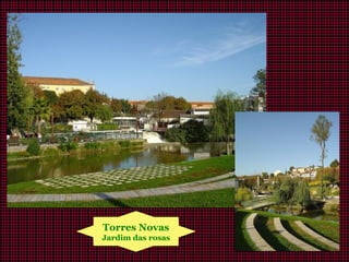 Torres Novas
Jardim das rosas
 