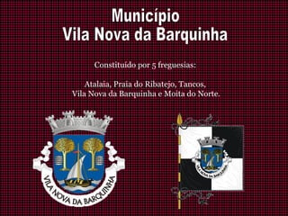 Constituído por 5 freguesias:
Atalaia, Praia do Ribatejo, Tancos,
Vila Nova da Barquinha e Moita do Norte.
 