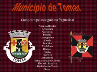 Composto pelas seguintes freguesias:
Além da Ribeira
Alviobeira
Asseiceira
Beselga
Carregueiros
Casais
Junceira
Madalena
Olalhas
Paialvo
Pedreira
Sabacheira
Santa Maria dos Olivais
São João Baptista
São Pedro de Tomar
Serra
 