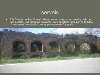Sant Corneli