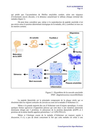 PLAN ALZHEIMER 06
                                                                                        Page 41


qui prédit que l’accumulation de fibrilles amyloïdes conduit, selon une séquence
d’événements encore discutée, à la démence caractérisant le tableau clinique terminal des
malades (figure 1).
          On peut donc considérer que, même si la surproduction de peptide amyloïde n’est
pas stricto senso le premier déterminant étiologique de la maladie, elle y contribue en tous cas
de manière certaine.


                                                                                 Oligomères

                        Aβ soluble                 Feuillets β




                                                                                         Fibrilles
  Maturation
  de la βAPP


                                                        DNF




   Démence


                        Mort neuronale
                                                                            Plaques amyloïdes

                                                    Inflammation


                                              Figure 1 : Hypothèse de la cascade amyloïde
                                                    DNF : dégénérescence neurofibrillaire

        La peptide βamyloïde est la principale composante de la plaque sénile qui se
dissémine dans les régions corticales du cerveau au cours de la maladie d’Alzheimer (1).
         Même si la grande majorité des cas d’Alzheimer sont d’origine sporadique, il existe
quelques formes agressives d’apparition précoce qui sont dues à une mutation autosonale
dominante dirigée par 3 protéines, le précurseur de la protéine βamyloïde (βAPP) et 2
protéines de la même famille appelées présénilines 1 et 2 (PS1/PS2) (2).
         Même si l’étiologie exacte de la maladie d’Alzheimer est toujours sujette à
discussion, il n’y a pas de doute concernant le fait que cette maladie est reliée à une



                                                                 Conseil général des Alpes-Maritimes
 