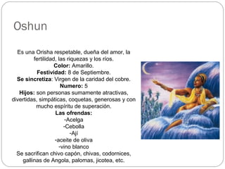 Oshun
Es una Orisha respetable, dueña del amor, la
fertilidad, las riquezas y los ríos.
Color: Amarillo.
Festividad: 8 de Septiembre.
Se sincretiza: Virgen de la caridad del cobre.
Numero: 5
Hijos: son personas sumamente atractivas,
divertidas, simpáticas, coquetas, generosas y con
mucho espíritu de superación.
Las ofrendas:
-Acelga
-Cebolla
-Ají
-aceite de oliva
-vino blanco
Se sacrifican chivo capón, chivas, codornices,
gallinas de Angola, palomas, jicotea, etc.
 
