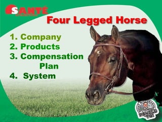 Four Legged Horse
1. Company
2. Products
3. Compensation
       Plan
4. System
 