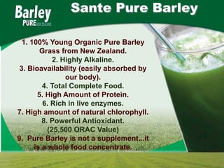 Sante Pure Barley

  1. 100% Young Organic Pure Barley
        Grass from New Zealand.
             2. Highly Alkaline.
 3. Bioavailability (easily absorbed by
                 our body).
         4. Total Complete Food.
       5. High Amount of Protein.
         6. Rich in live enzymes.
7. High amount of natural chlorophyll.
         8. Powerful Antioxidant.
           (25,500 ORAC Value)
9. Pure Barley is not a supplement...it
      is a whole food concentrate.
 