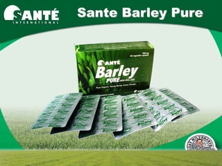 Sante Barley Pure
 