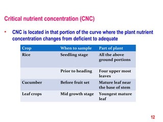 Critical nutrient concentration (CNC)
• CNC is located in that portion of the curve where the plant nutrient
concentration changes from deficient to adequate
12
Crop When to sample Part of plant
Rice Seedling stage All the above
ground portions
Prior to heading Four upper most
leaves
Cucumber Before fruit set Mature leaf near
the base of stem
Leaf crops Mid growth stage Youngest mature
leaf
 