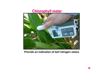 Chlorophyll meter
16
Provide an indication of leaf nitrogen status
 