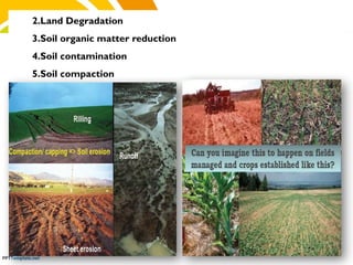 2.Land Degradation
3.Soil organic matter reduction
4.Soil contamination
5.Soil compaction
 