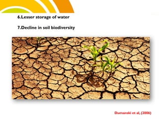 6.Lesser storage of water
7.Decline in soil biodiversity
Dumanski et al, (2006)
cost.
 
