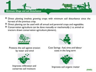  Direct planting involves growing crops with minimum soil disturbance since the
harvest of the previous crop.
 Direct planting can be used with all annual and perennial crops and vegetables.
 Conservation agriculture can be done manually or mechanically ( i.e. animal or
tractors drawn conservation agriculture planters).
Improves soil organic matter
Protects the soil against erosion
by water and wind
Cost Savings : fuel, time and labour
costs in the long term
Improves infiltration and
conserves soil moisture (FAO)
cost.
 