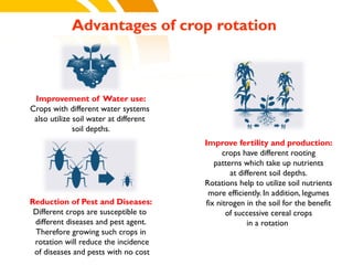 Advantages of crop rotation
Improvement of Water use:
Crops with different water systems
also utilize soil water at different
soil depths.
Improve fertility and production:
crops have different rooting
patterns which take up nutrients
at different soil depths.
Rotations help to utilize soil nutrients
more efficiently. In addition, legumes
fix nitrogen in the soil for the benefit
of successive cereal crops
in a rotation
cost.
Reduction of Pest and Diseases:
Different crops are susceptible to
different diseases and pest agent.
Therefore growing such crops in
rotation will reduce the incidence
of diseases and pests with no cost
 