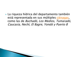  La riqueza hídrica del departamento también
está representada en sus múltiples ciénagas,
como las de Buchadó, Los Medios, Tumaradó,
Caucasia, Nechí, El Bagre, Yondó y Puerto B
 