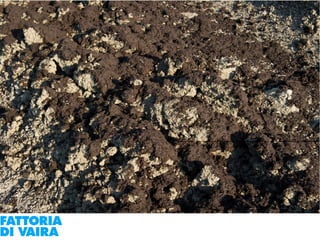 Paola Santi Az. biodinamica Di Vaira: la filiera aggregata e l’integrazione col consumatore