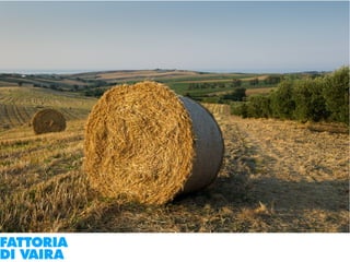 Paola Santi Az. biodinamica Di Vaira: la filiera aggregata e l’integrazione col consumatore