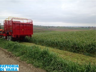 Paola Santi Az. biodinamica Di Vaira: la filiera aggregata e l’integrazione col consumatore