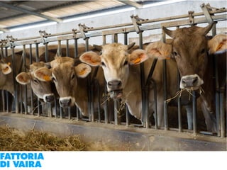 Paola Santi Az. biodinamica Di Vaira: la filiera aggregata e l’integrazione col consumatore