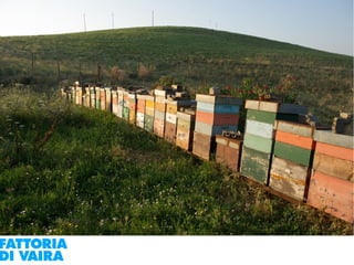 Paola Santi Az. biodinamica Di Vaira: la filiera aggregata e l’integrazione col consumatore