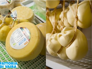 Paola Santi Az. biodinamica Di Vaira: la filiera aggregata e l’integrazione col consumatore