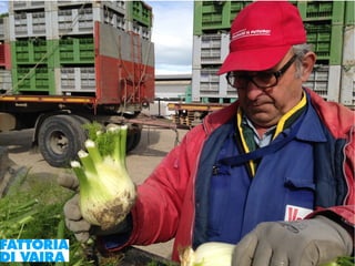 Paola Santi Az. biodinamica Di Vaira: la filiera aggregata e l’integrazione col consumatore