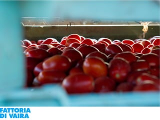 Paola Santi Az. biodinamica Di Vaira: la filiera aggregata e l’integrazione col consumatore